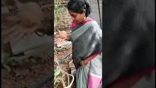 Method of coconut to find out water point #shorts #trending