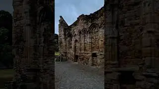 Exploring the haunting beauty of these old abbey ruins🌿#AbbeyRuins #HistoricPlaces #HistoryLovers