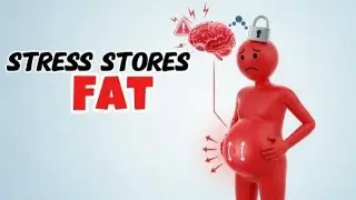 Your Brain Thinks You&rsquo;re in Danger &mdash; So It Stores Fat