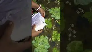 #unboxing #sankha pola🥰🥰🥰#meesho