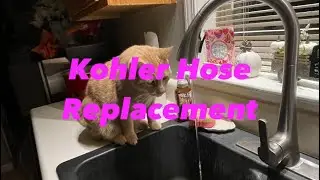 Kohler Pull Down Hose Replacement: For Koehler Kitchen Faucets