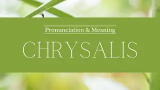 How to Pronounce: Chrysalis | British Pronunciation & Meaning