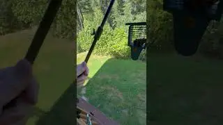 Erytlly deck pole, a great, easy option for hanging bird feeders from your deck?