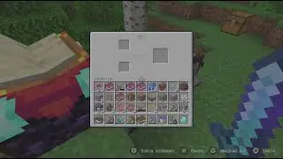 Minecraft_20251226174732