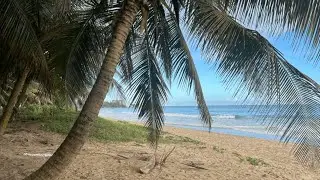 De vuelta pa la vuelta 🇵🇷🇵🇷🇵🇷
