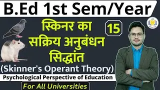 Skinner Operant Theory,  स्किनर का सक्रिय अनुबंधन सिद्धांत | bed sem or yearly classes