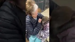 Sloth Encounter Petting Feeding Interactive Experience PA Pennsylvania