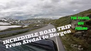 NORWAY - INCREDIBLE ROAD TRIP (From Alvdal to Bergen - 533KM) - Part 7 - THE TRAVEL BUG FEELING