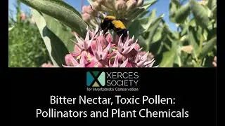 Bitter Nectar, Toxic Pollen: Pollinators and Plant Chemicals