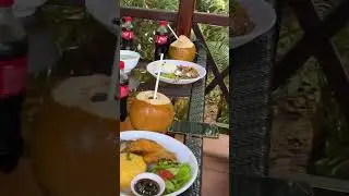 Vinpearl Safari Animal Care and Conservation Park Vietnam Phu Quoc Island