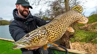 Ce trou d'eau abrite des poissons monstrueux ! P&ecirc;che du bord