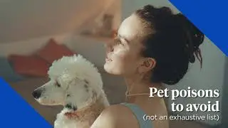 Pet Poisons and Toxins