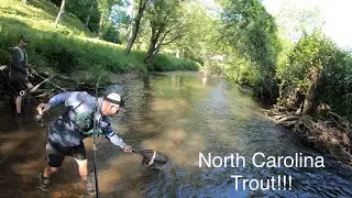 FRIENDS first time TROUT FISHING in North Carolina