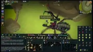 Runescape - Araxxor with Bandos, Chaotic Maul, and War Tortoise