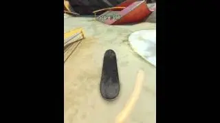 [True Skate] Wtf skatebaord games.