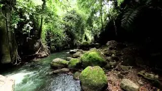 UBUD DEDARI VILLAS