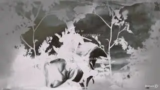 Red Dead Online latest off radar POS