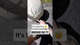 Life size dinosaur egg  found un hatched in a dumpster !? #dumpsterdiving #dinosaur #egg #scary