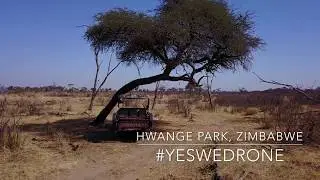 Zimbabwe Hwange National Park by Drone 4K