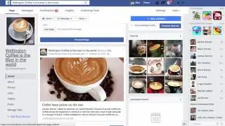 WP Social Traffic