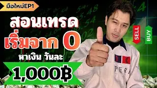 IQ OPTION for Beginners: Start making profits every day! Everything you need to know + how to ope...