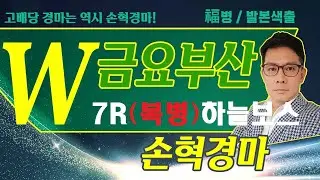 고배당 경마는 역시 손혁 경마 1/16(금)부산 복병마 내용을 확인해 보세요!!