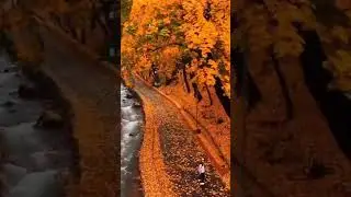 Fall in Kazakhstan