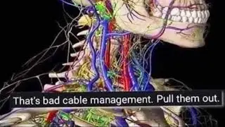 BASED MEMES OF CABLE MANAGEMENT