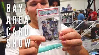 AARON JUDGE 1/1 ROOKIE AUTO? | Bay Area Card Show | Card Gains EP 13
