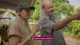 Hawai&lsquo;i Community College&rsquo;s TEAM Program Celebrates 25 Years of Conservation Education
