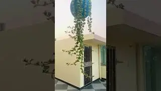 Beautiful Hanging  Pot 🌿🌿
