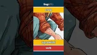 🇬🇧🇵🇱 crop - uprawiać : learn English : Uczmy się angielskiego : vocabulary builder