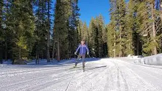 Nordic Bite: How to Attain an Effective Body Position for Skiing