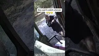 Delivery driver can&rsquo;t catch a break from Dog bites to falling #amazon #delivery #dashcam #ring #fail