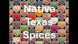 Wild Spices: Adding a Taste of Native Texas to Your Table: Dr. Mark 