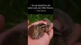 #BabySquirrel #FeedingTime #WildlifeLove #NatureNurture #SquirrelMoments #TinyButMighty #FluffyTail