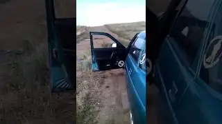 Alphard HW650 , твитеры dinamik-state