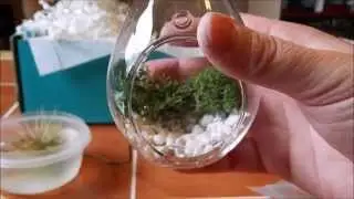 Nicole Does Stuff #58: Darby Smart DIY Hanging Urban Planter Air Plant Kit