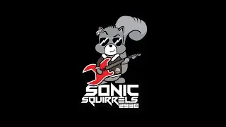 FRC 2930 Sonic Squirrels 2022 Robot Reveal - 