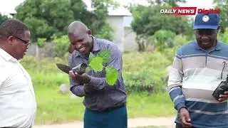 TABORA WASHEREHEKEA  KIZALENDO BIRTHDAY YA RAIS SAMIA