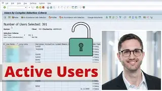 Overview of active SAP Users