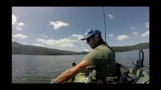 Shimano - Perch League - Fishingclub