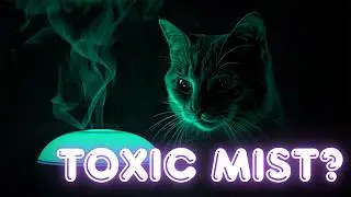 How to Safely Use Essential Oils Around Cats