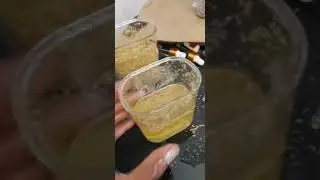 UNIVERSAL ESSENCE :LIONS MANE OILS IN THE MAKING