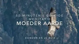 50 minuten | Geleide meditatie | Moeder aarde, je buik en condor