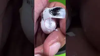 pregnant Molly fish giving birth😇✅