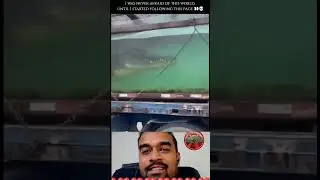 Salt water 🐊 crocodile ഇതിൻ്റെ മുന്നിൽ പെട്ടാൽ ☠️🤯