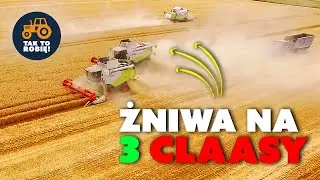 ŻNIWA 2019 na dużą skalę - Grocholin: 3X CLAAS, FENDT, MASSEY FERGUSON, JCB ☆ TAK TO ROBIĘ vlog #10