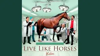 Live Like Horses