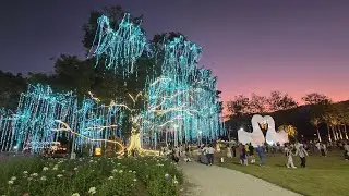Chiang Ma&iuml;  Tha&iuml;land Festival  lightshow &firework  